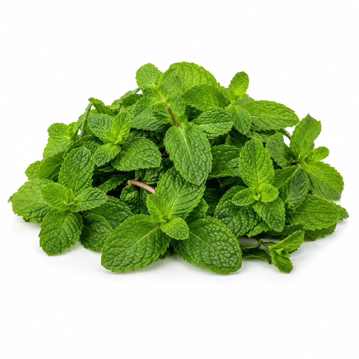 Mint Leaves (Pudina)